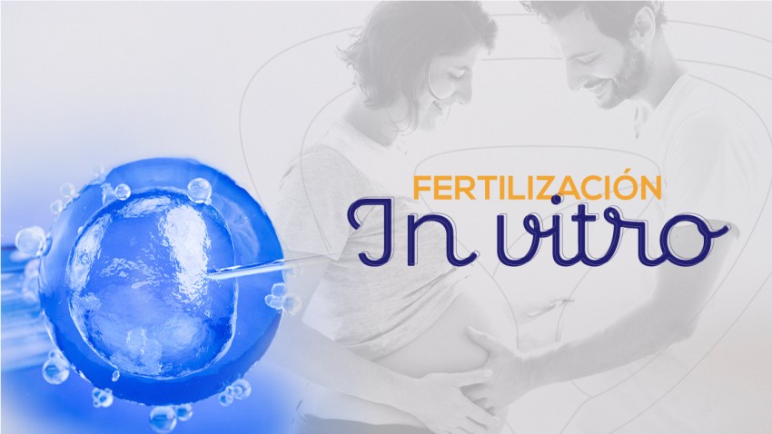 5 preguntas frecuentes de la fertilización In Vitro