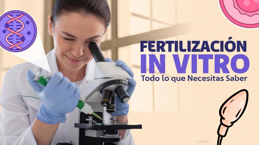 FERTILIZACIÓN IN VITRO: TODO LO QUE DEBES SABER